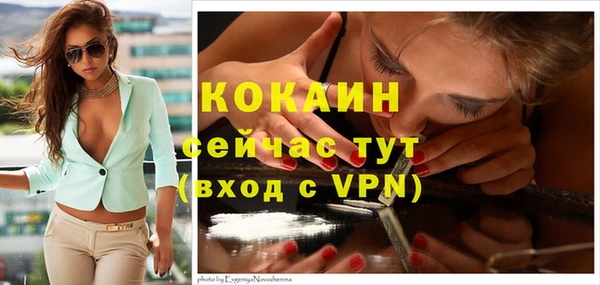 эйфоретик Михайлов
